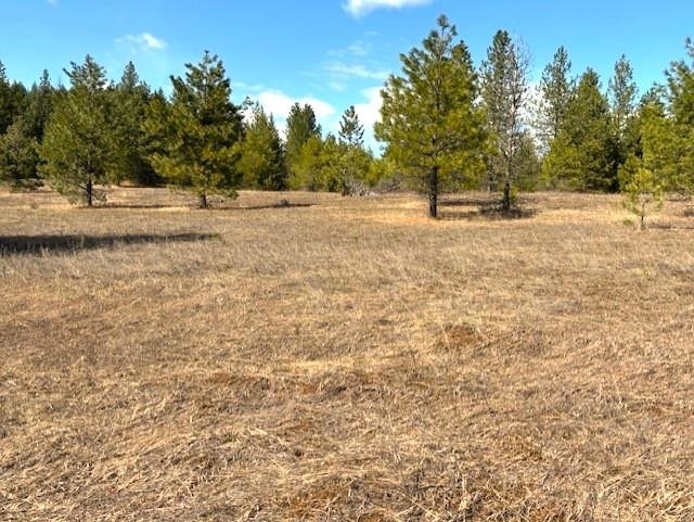 Property Photo: 35xx Mountain View Rd WA 99109