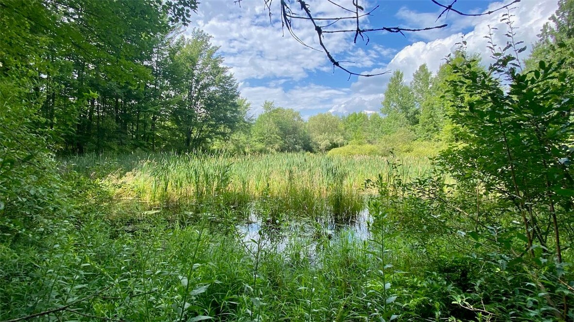 Property Photo: 668 Sovocool Hill Road NY 13073