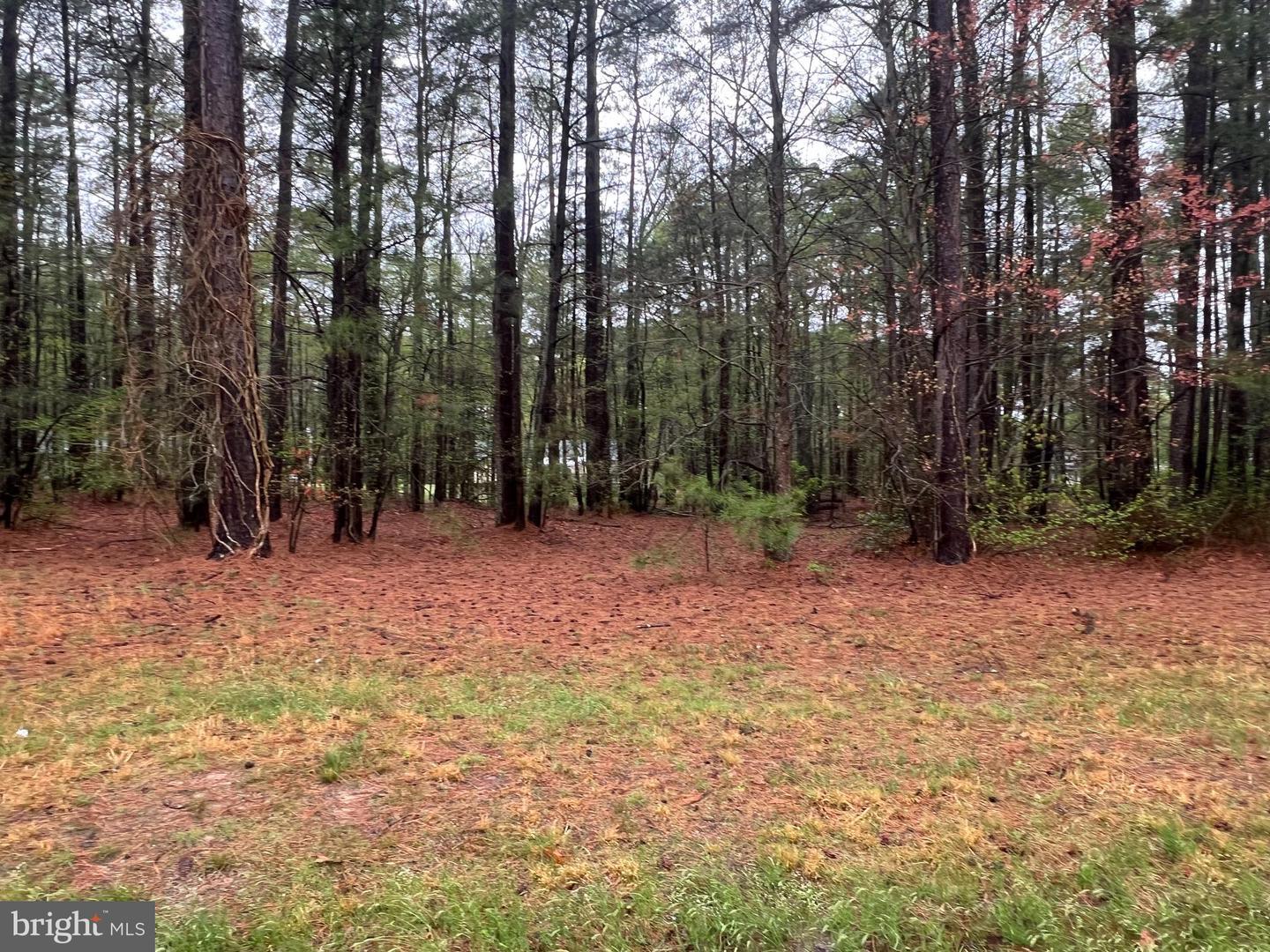 Lot 6 Royal Way  Montross VA 22520 photo