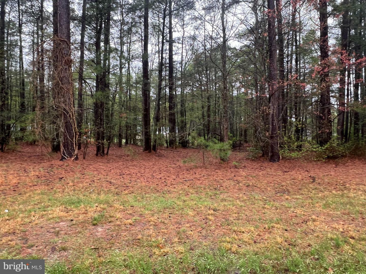 Property Photo: Lot 6 Royal Way VA 22520