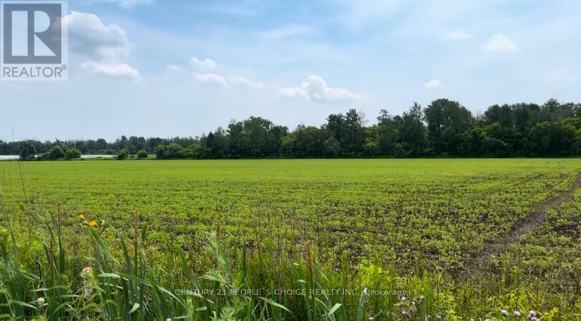 Property Photo:  325 Lipchey Road  ON L3Y 4V9 