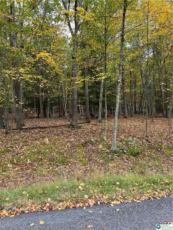 Property Photo: 289 Forest Drive PA 18325