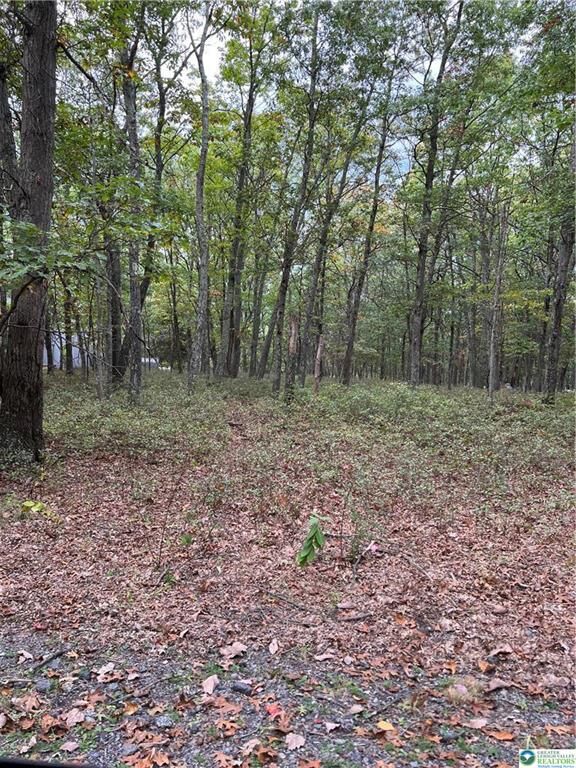 Property Photo: 275 Forest Drive PA 18325