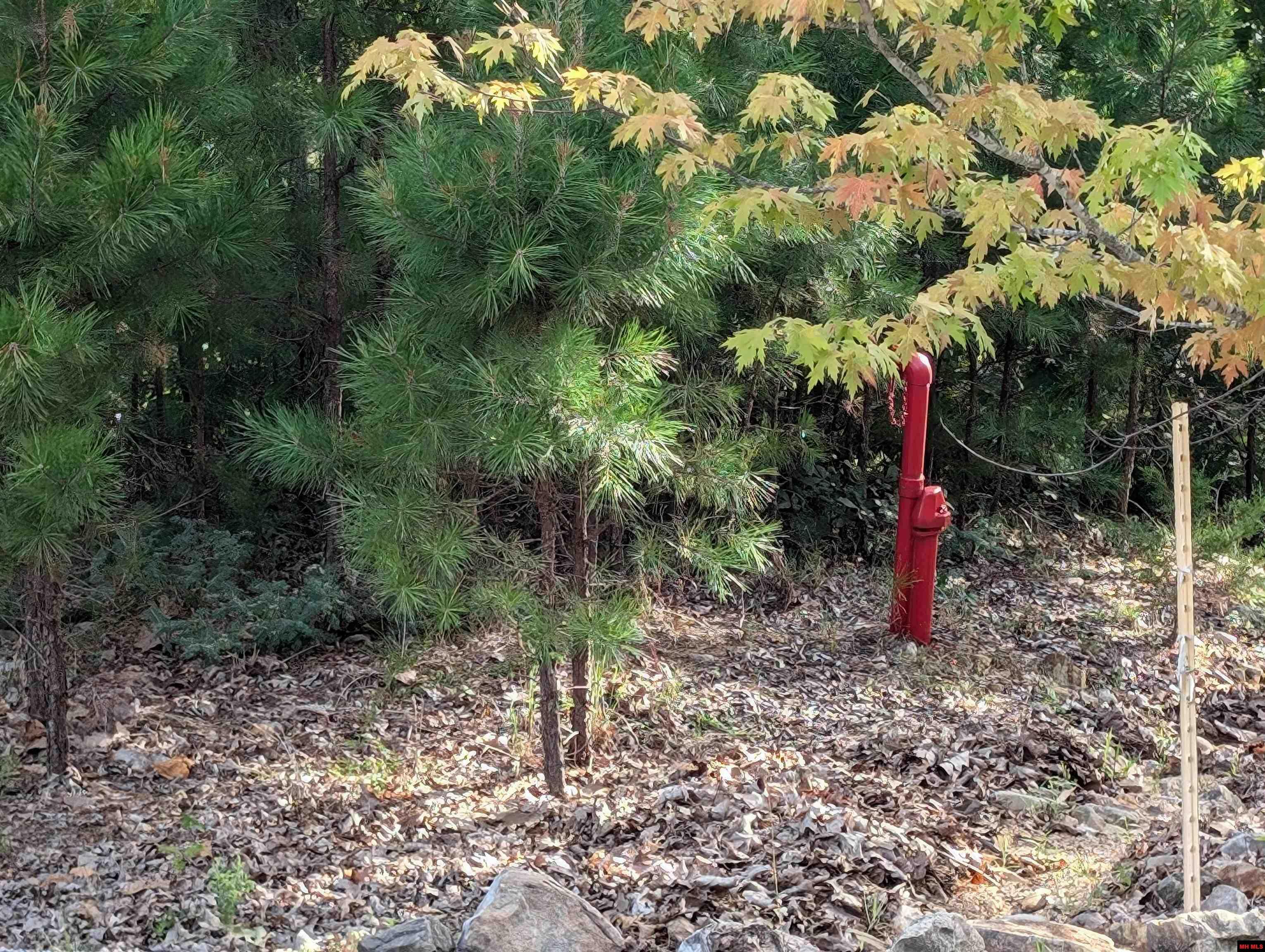 Property Photo: Lot 13 Ozark View Court AR 72658