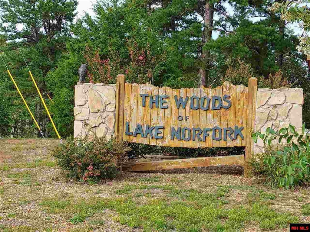 Property Photo: Lot 1 Cr 64 AR 72658