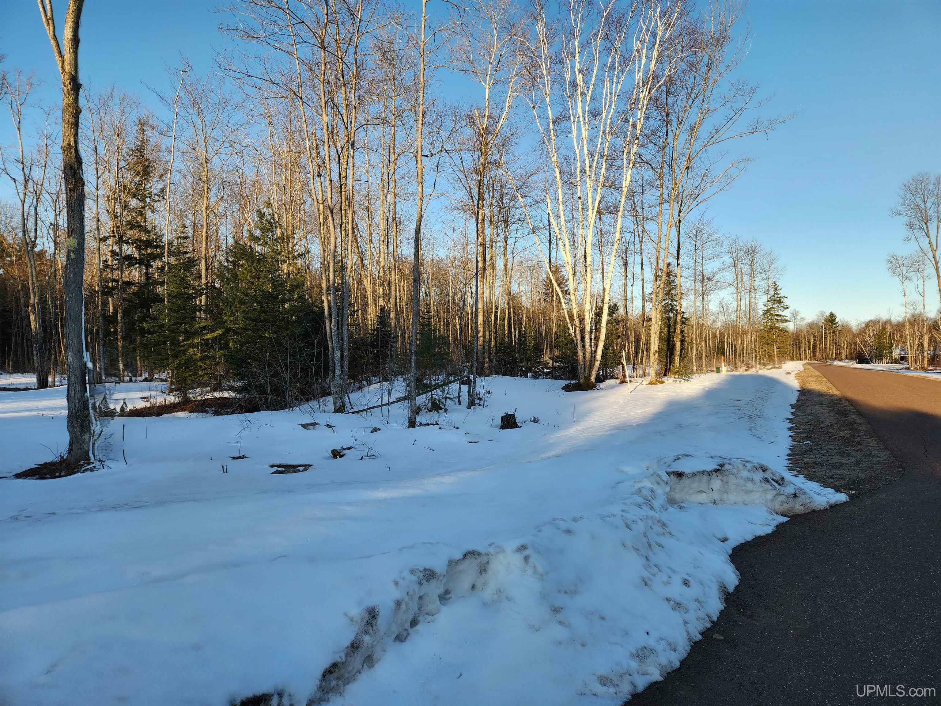 Property Photo: Unit 6 Greenway Drive MI 49916
