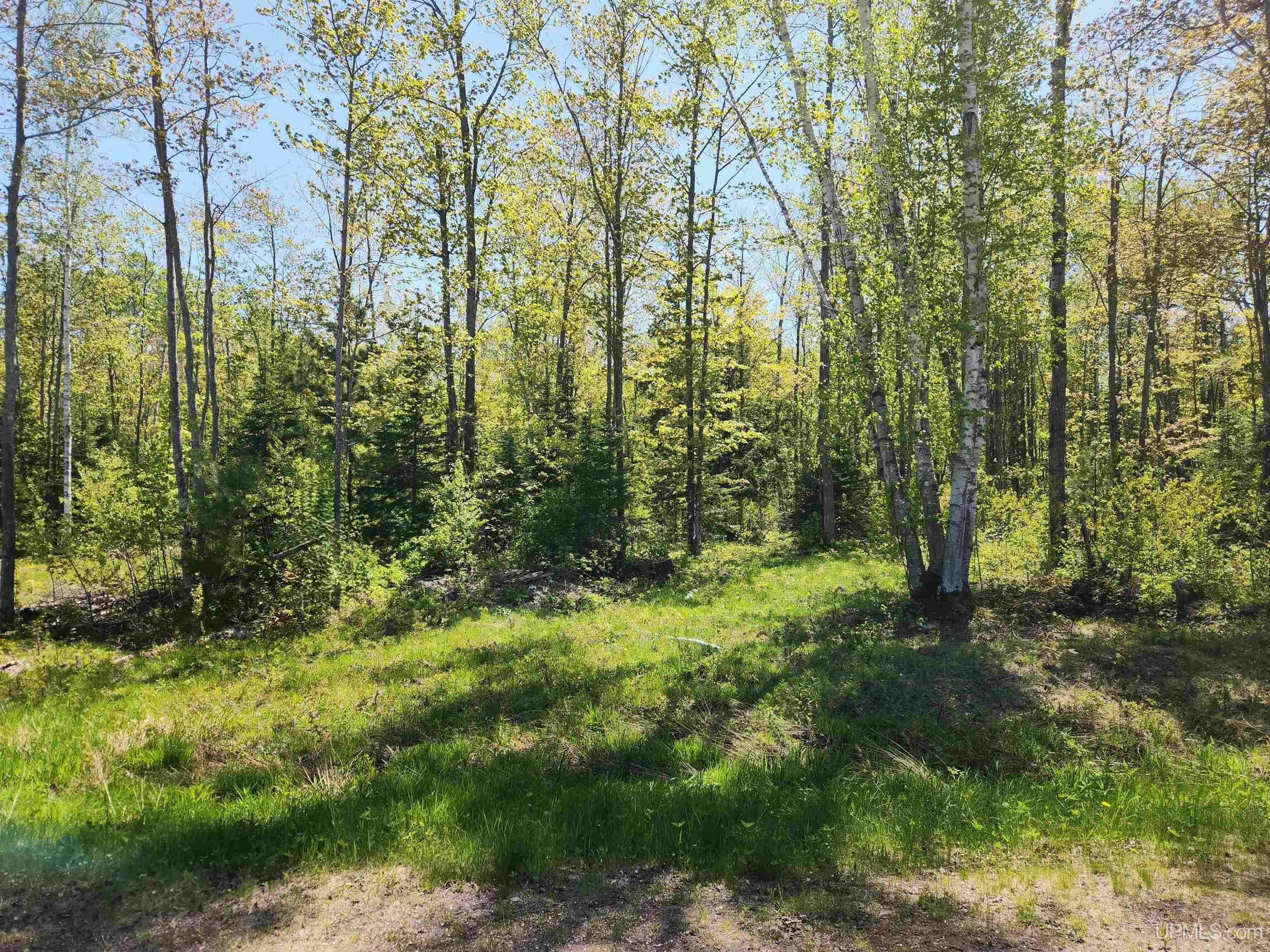 Property Photo: Unit 6 Greenway Drive MI 49916