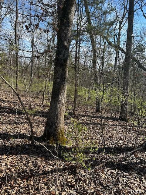 Property Photo: 20 Marshall Road MO 63090