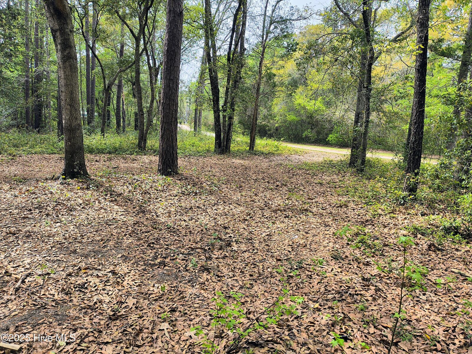 Property Photo:  779 Cypress Lakes Circle SE  NC 28422 