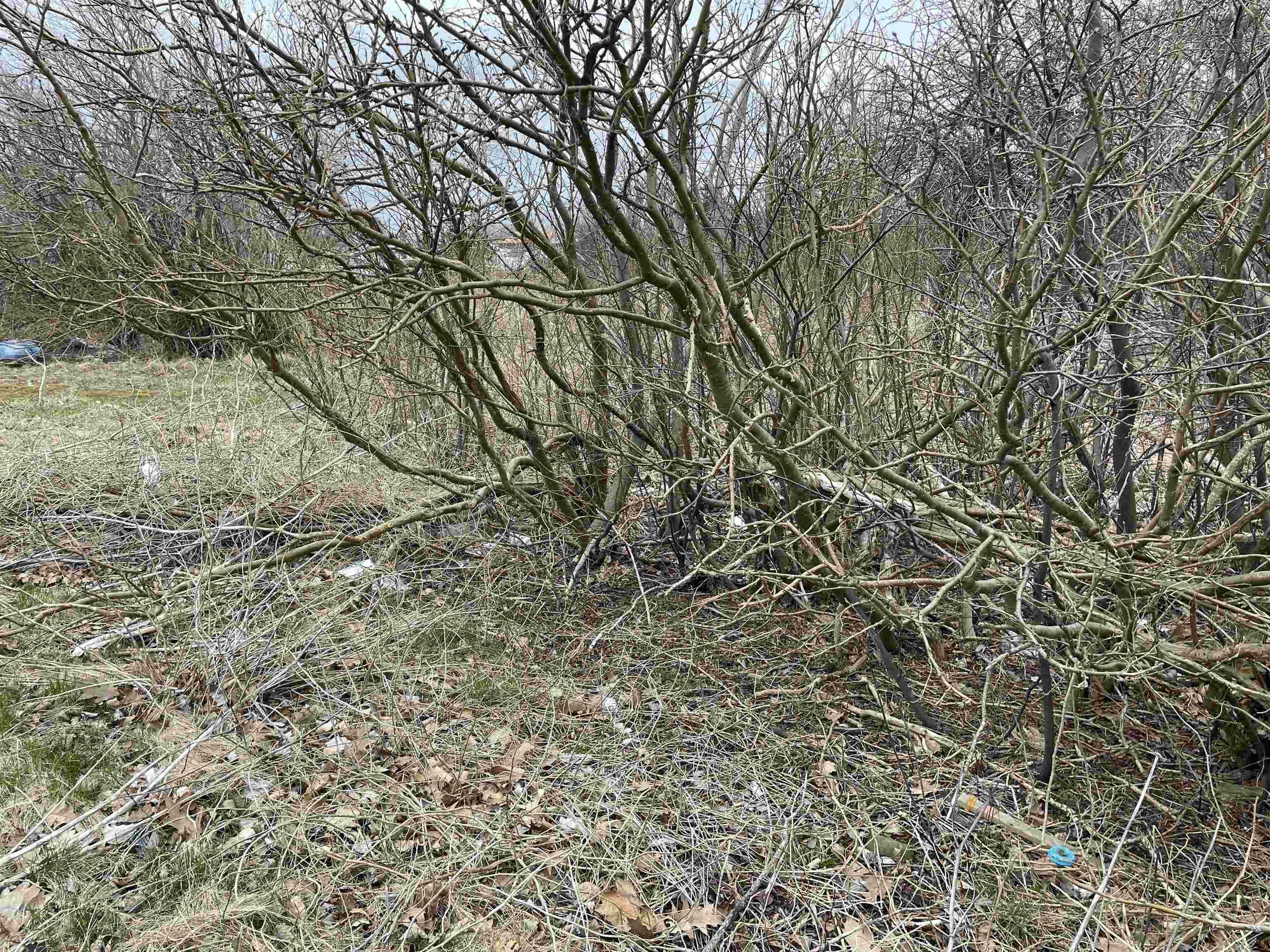 Property Photo:  5225 28 Highway  NS B1H 1E5 