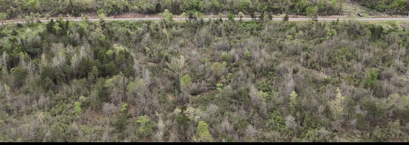 Property Photo: 11.32 Acre County Road 2228 (A) AR 72840