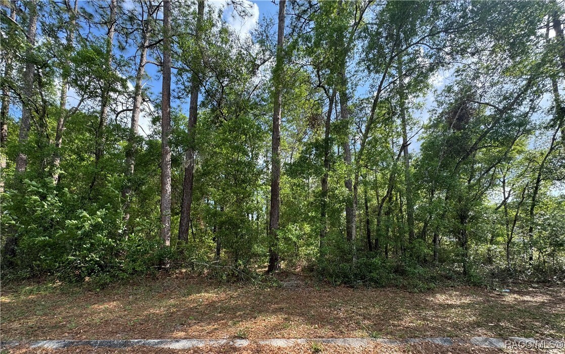 Property Photo: 6576 E Gurley Street FL 34453