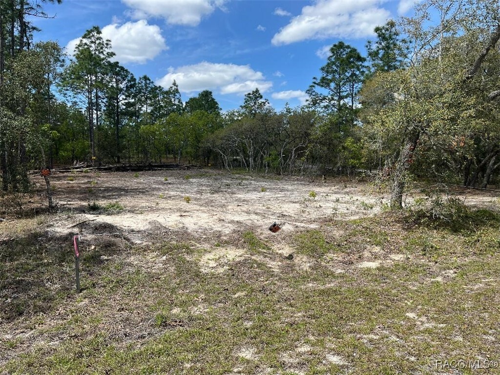 Property Photo: 10848 SE 131 Terrace FL 34431