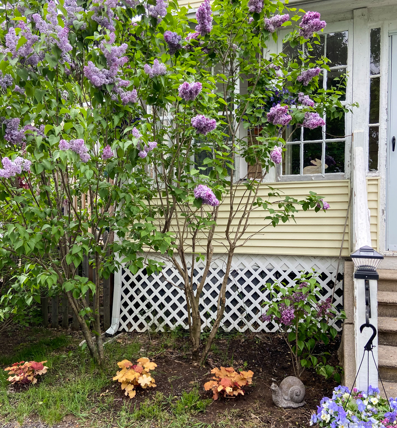 Property Photo: 321 Burlington Avenue CT 06010