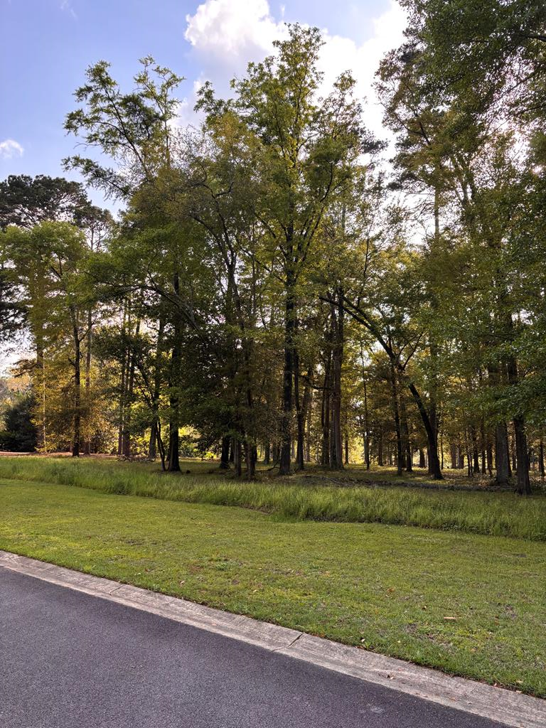 Property Photo:  111&Amp113 Wayfair Court  GA 31792 