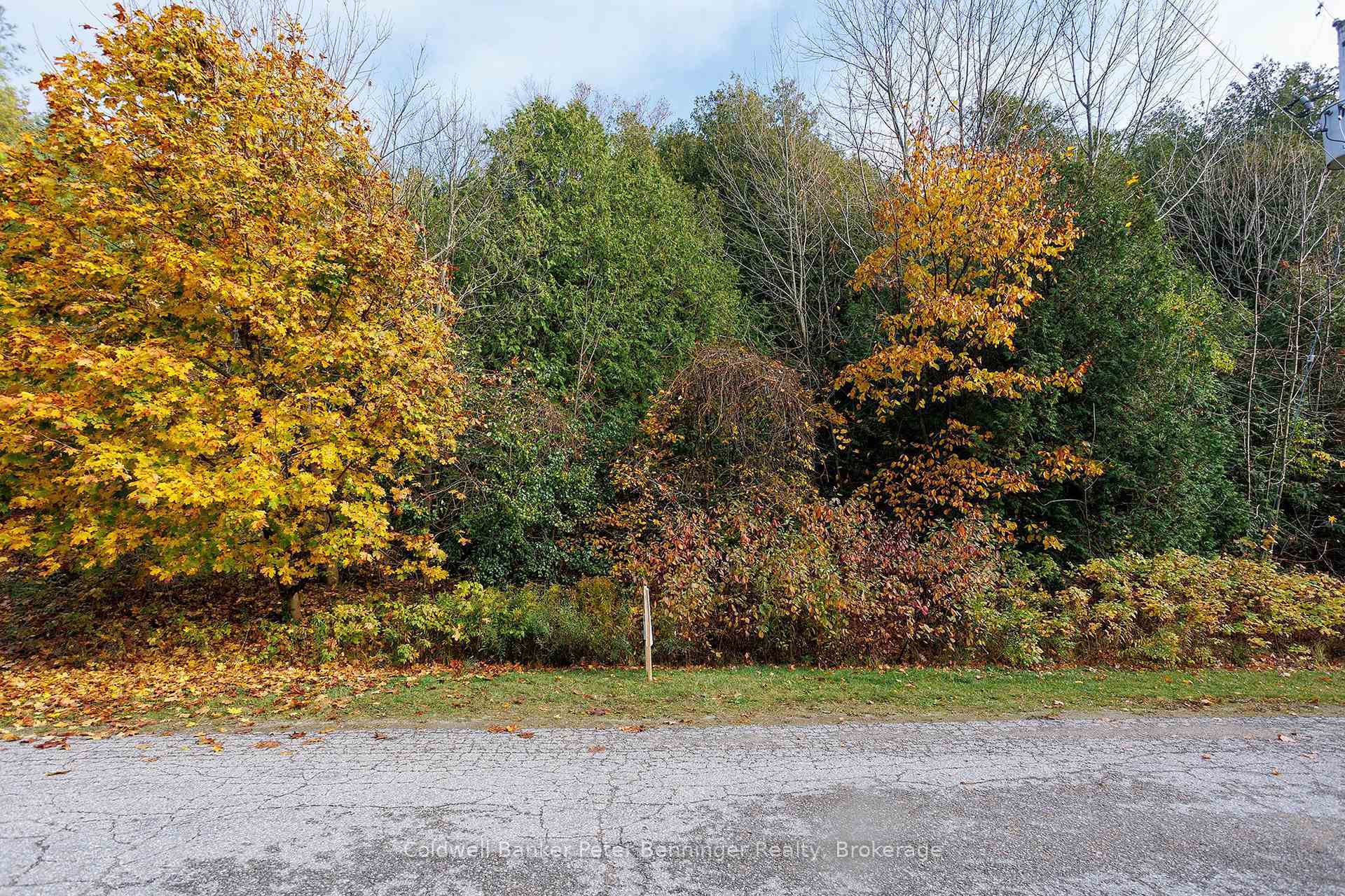 Lt 17 Pl 594 Courtney Court S  Ashfield-Colborne-Wawanosh ON N2Z 2X3 photo