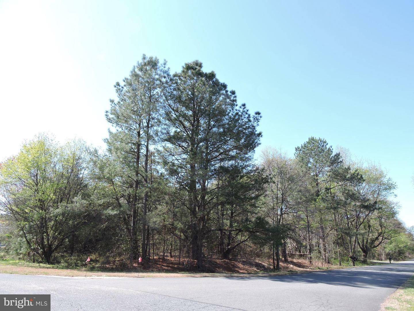Property Photo: 55 Tidewater Drive DE 19973