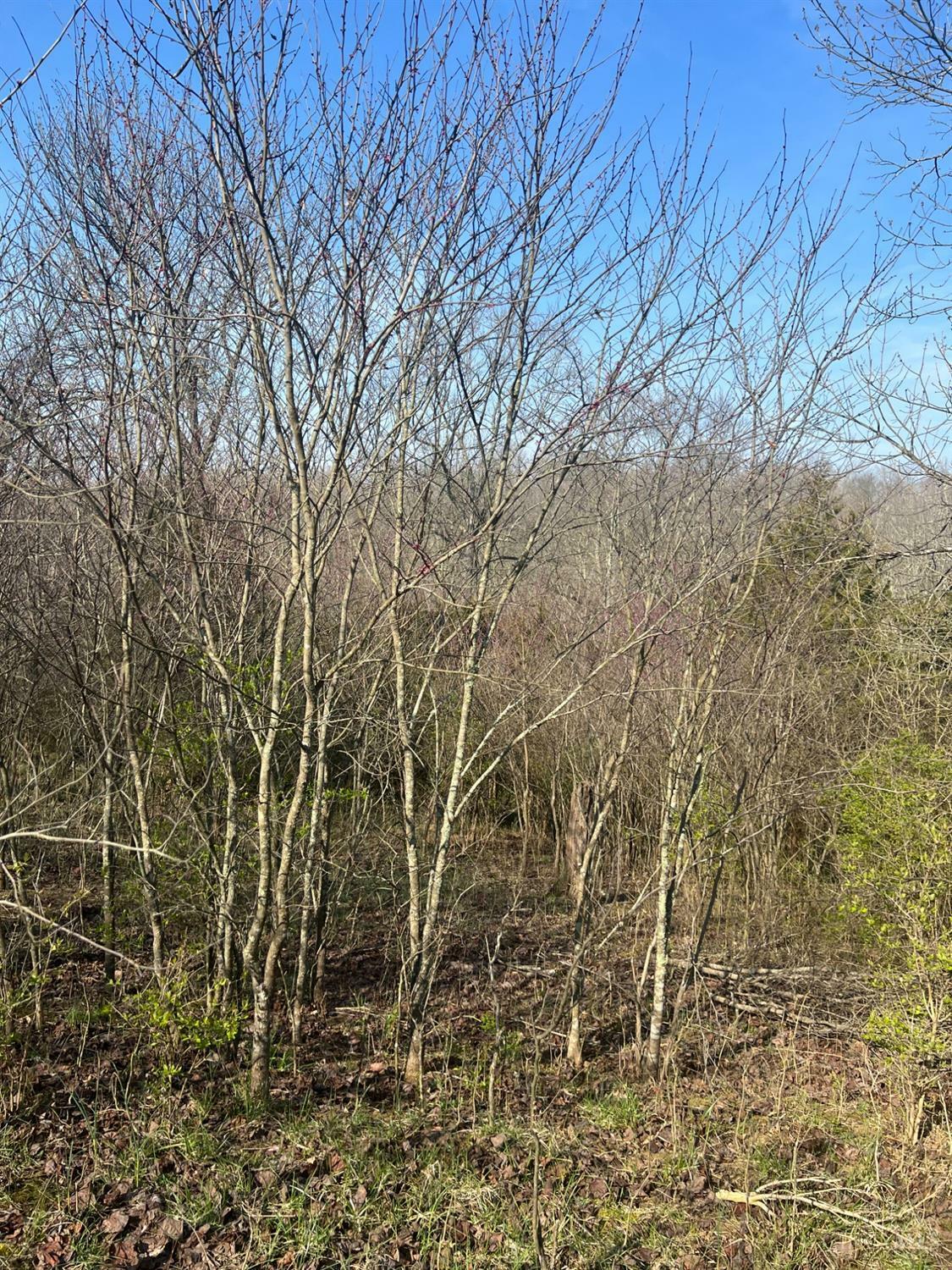 Property Photo: 4005 St Rt 763 OH 45144