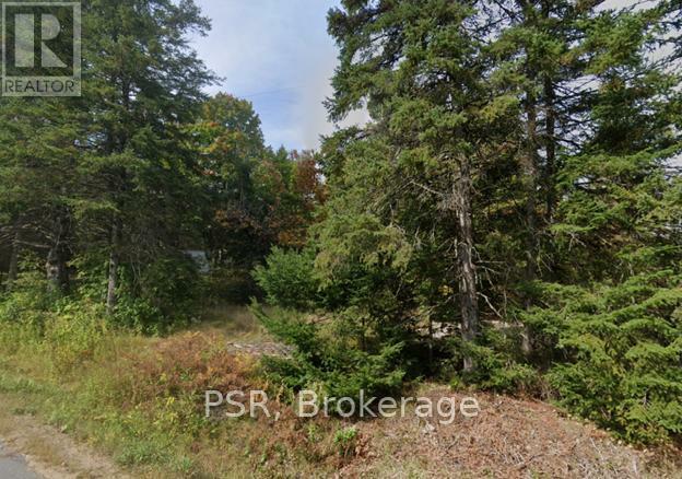 Property Photo:  Plot 143 Lot 12  ON P0A 1Y0 