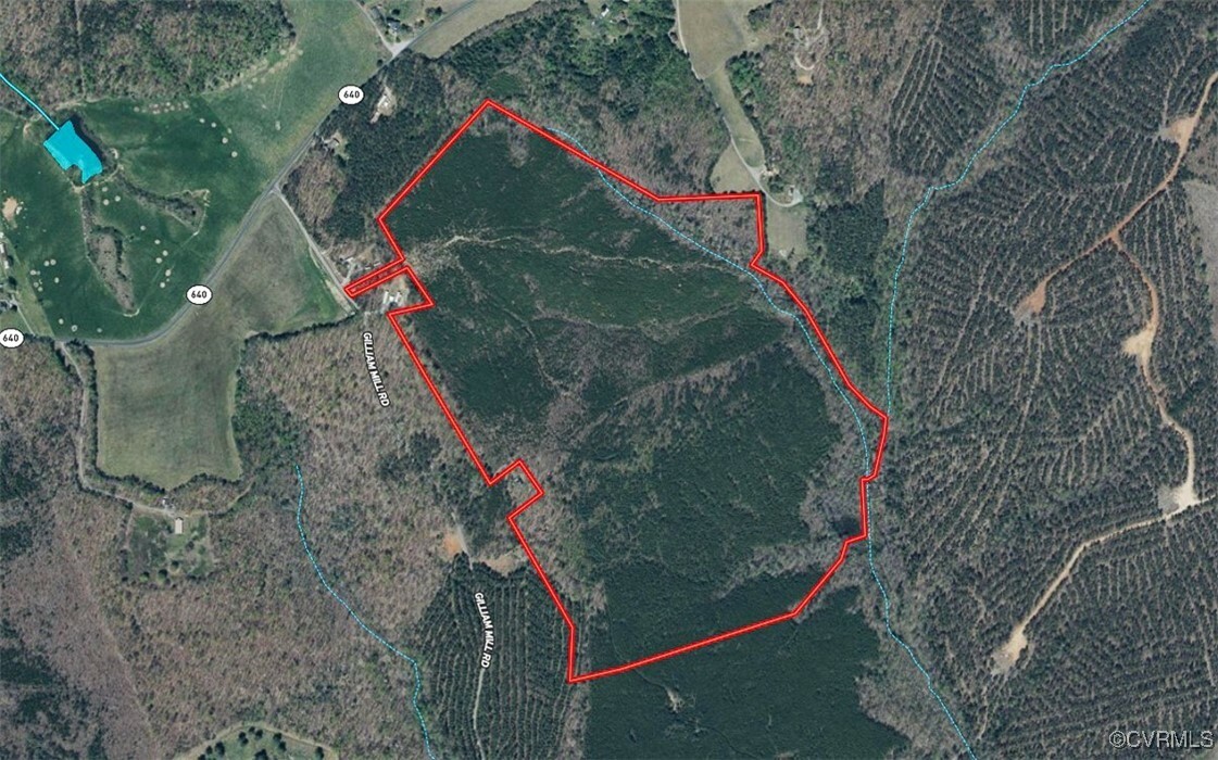 Property Photo: 116.32 Acres Gilliam Mill Road VA 23936