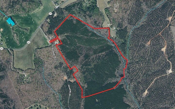Property Photo:  116.32 Acres Gilliam Mill Road  VA 23936 
