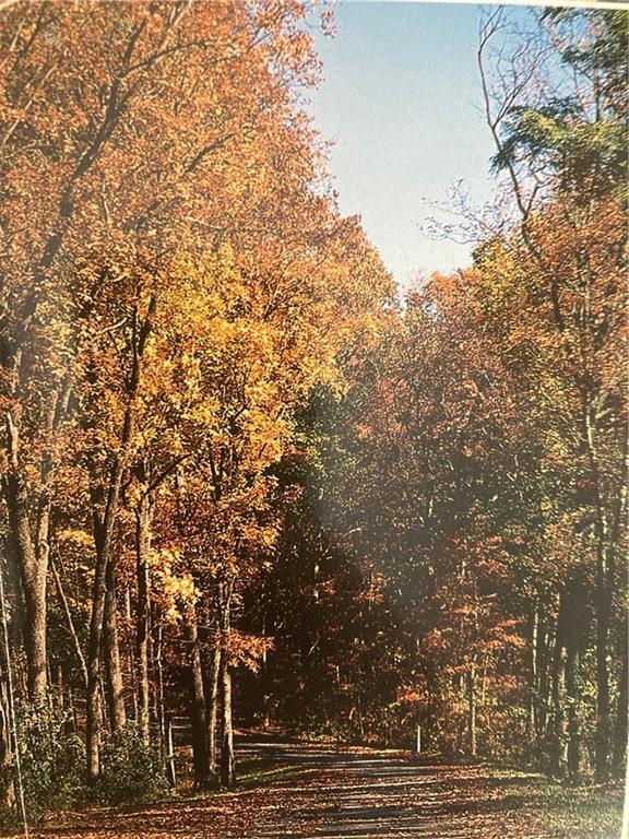 0 Andes Ridge  Jasper GA 30143 photo