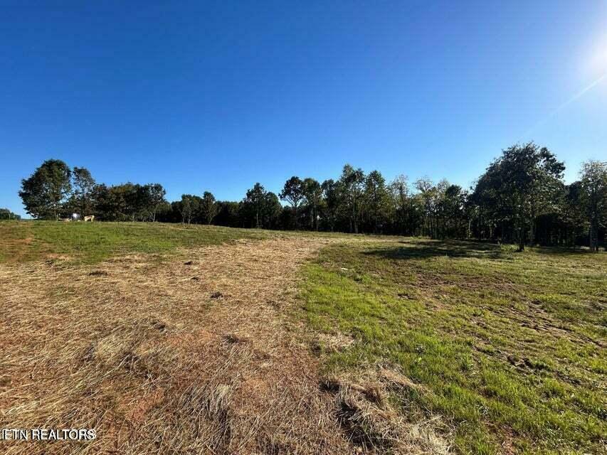 Property Photo: 118 Campbell Way TN 37801