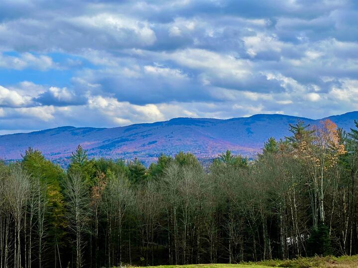 Property Photo: 00 Needle Leaf Lane VT 05672