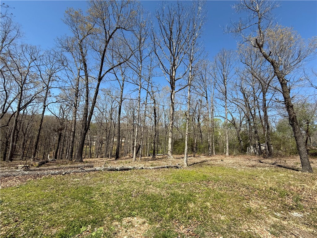 Property Photo:  Tbd County Road 1275  AR 72740 