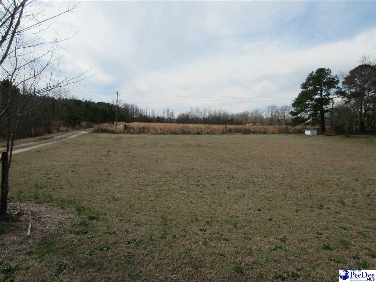 Tbd E Lynches River Road  Lamar SC 29069 photo