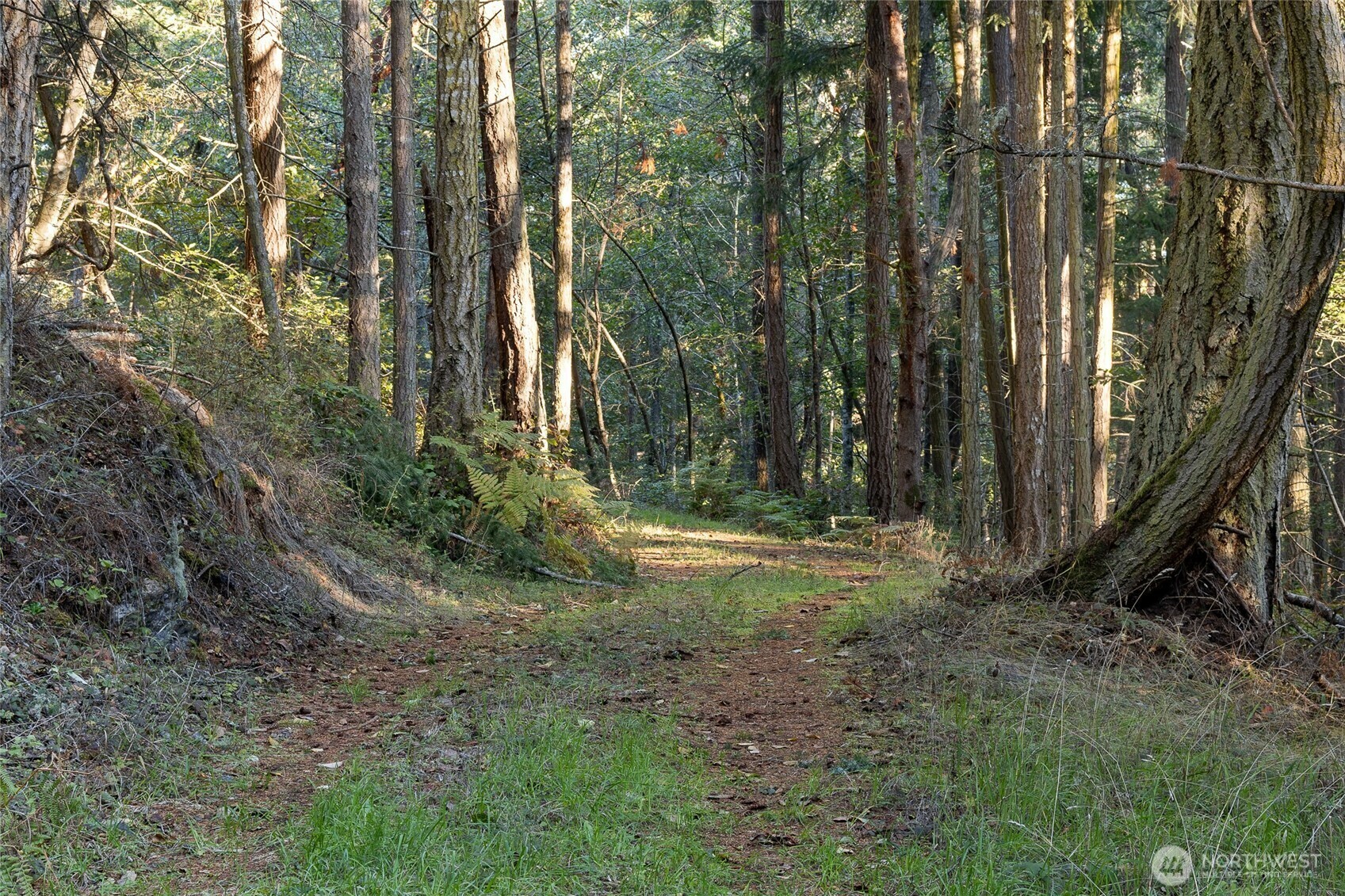 Property Photo: 0 Hyak Lane WA 98250