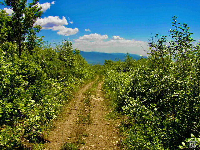Property Photo:  Unknown  UT 84629 