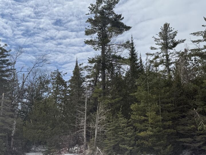 0 Huron Trail  Cheboygan MI 49721 photo