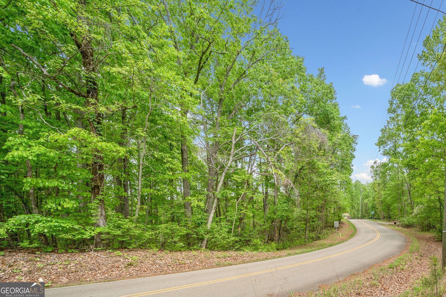 Property Photo: 2022 Pleasant Union Road GA 30114