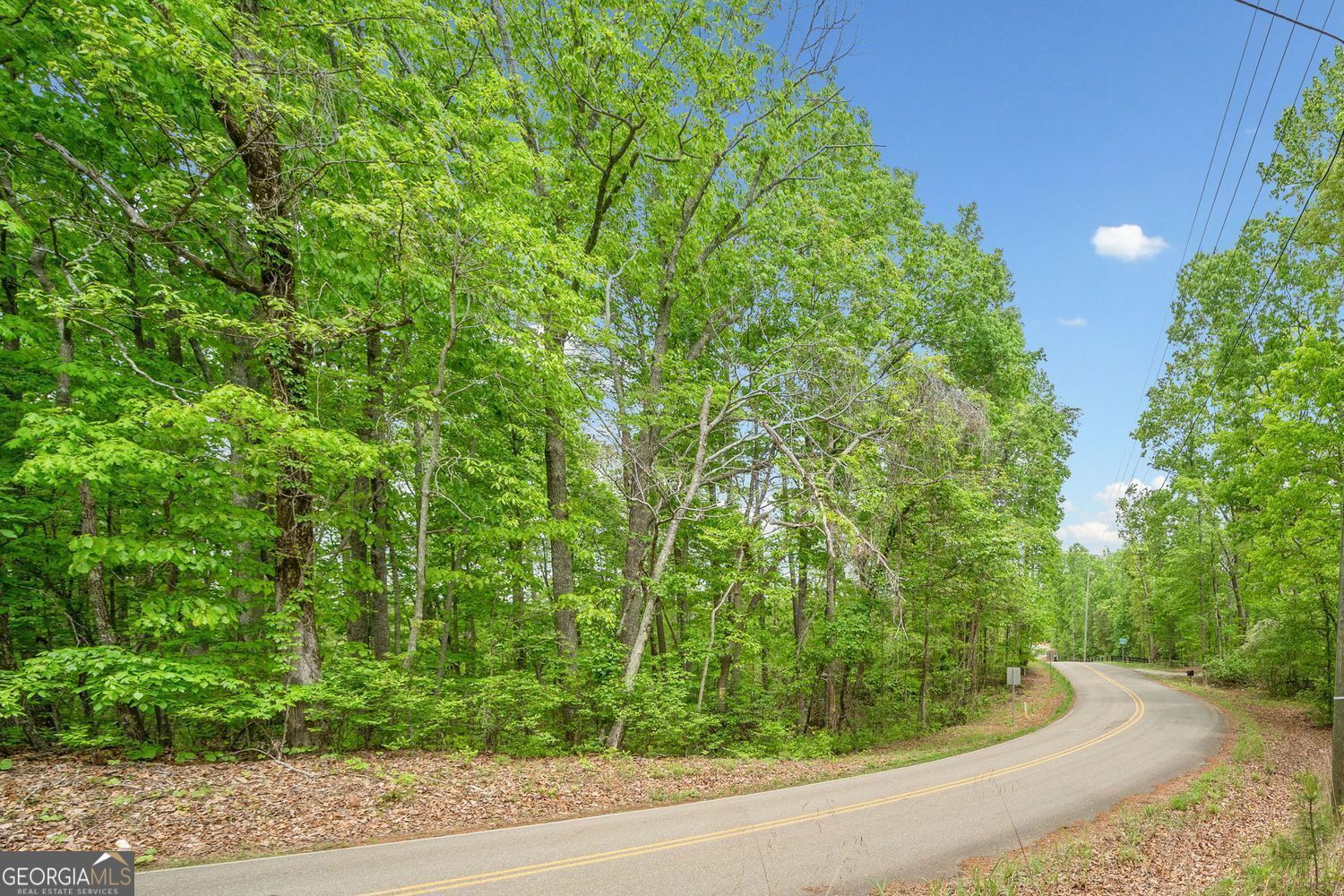 Property Photo: 2022 Pleasant Union Road GA 30114