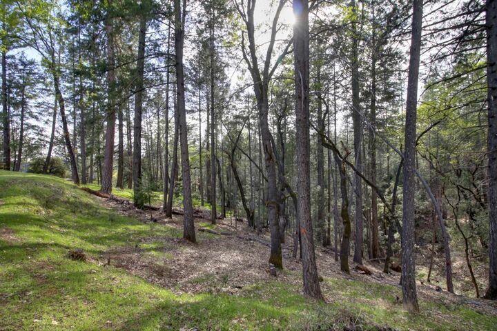 Property Photo:  6222 Green Ridge Drive  CA 95631 