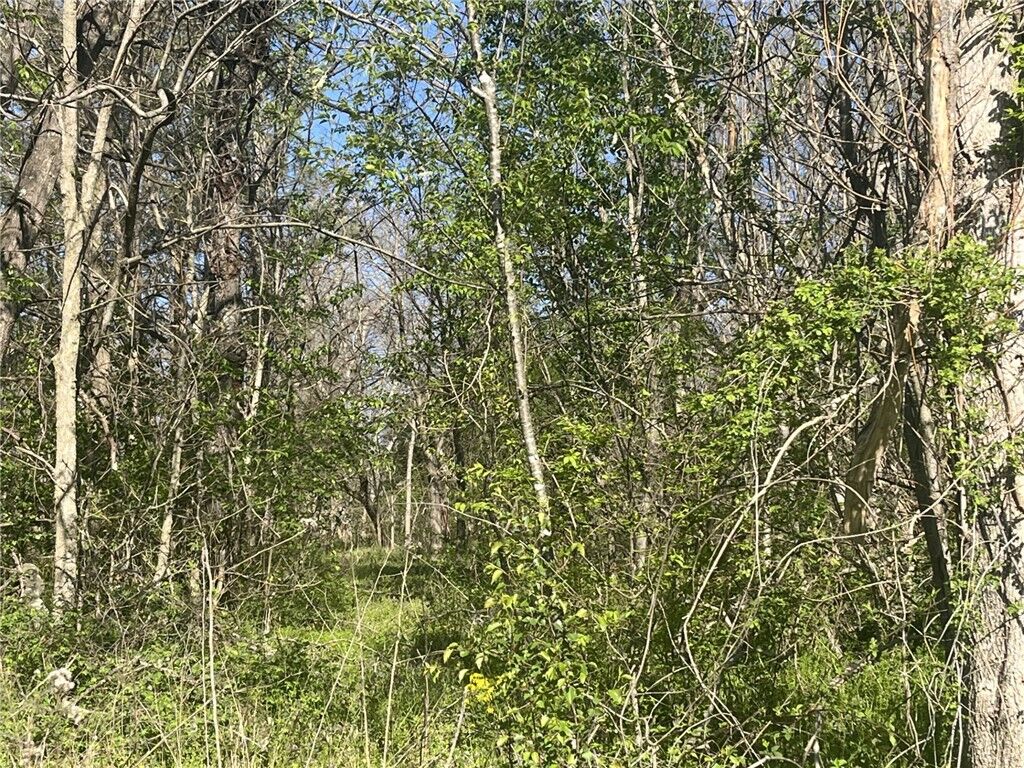 Property Photo:  52 Rath Drive  AR 72715 