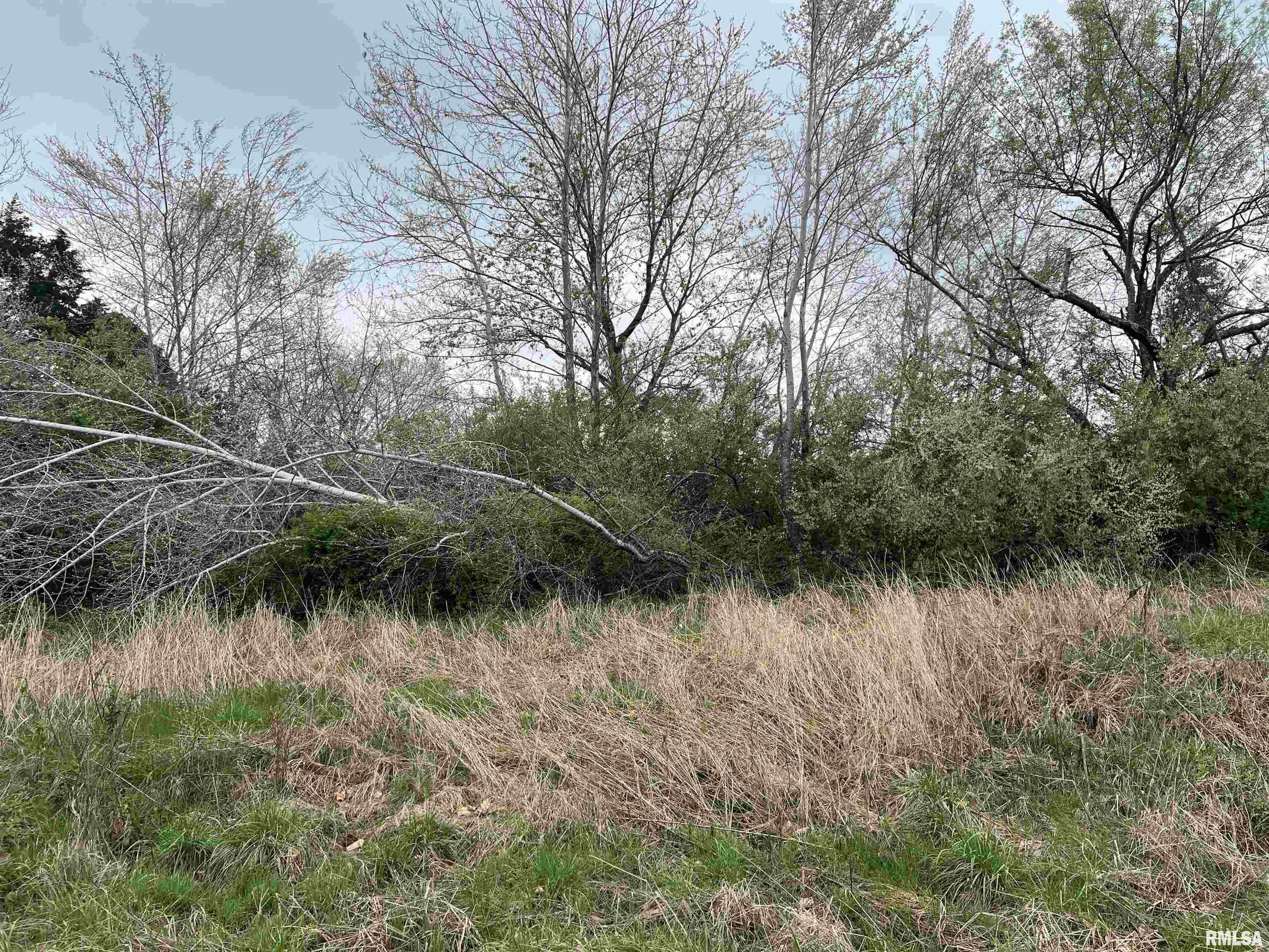 Property Photo: Lot 103 Cherokee Road IL 62939