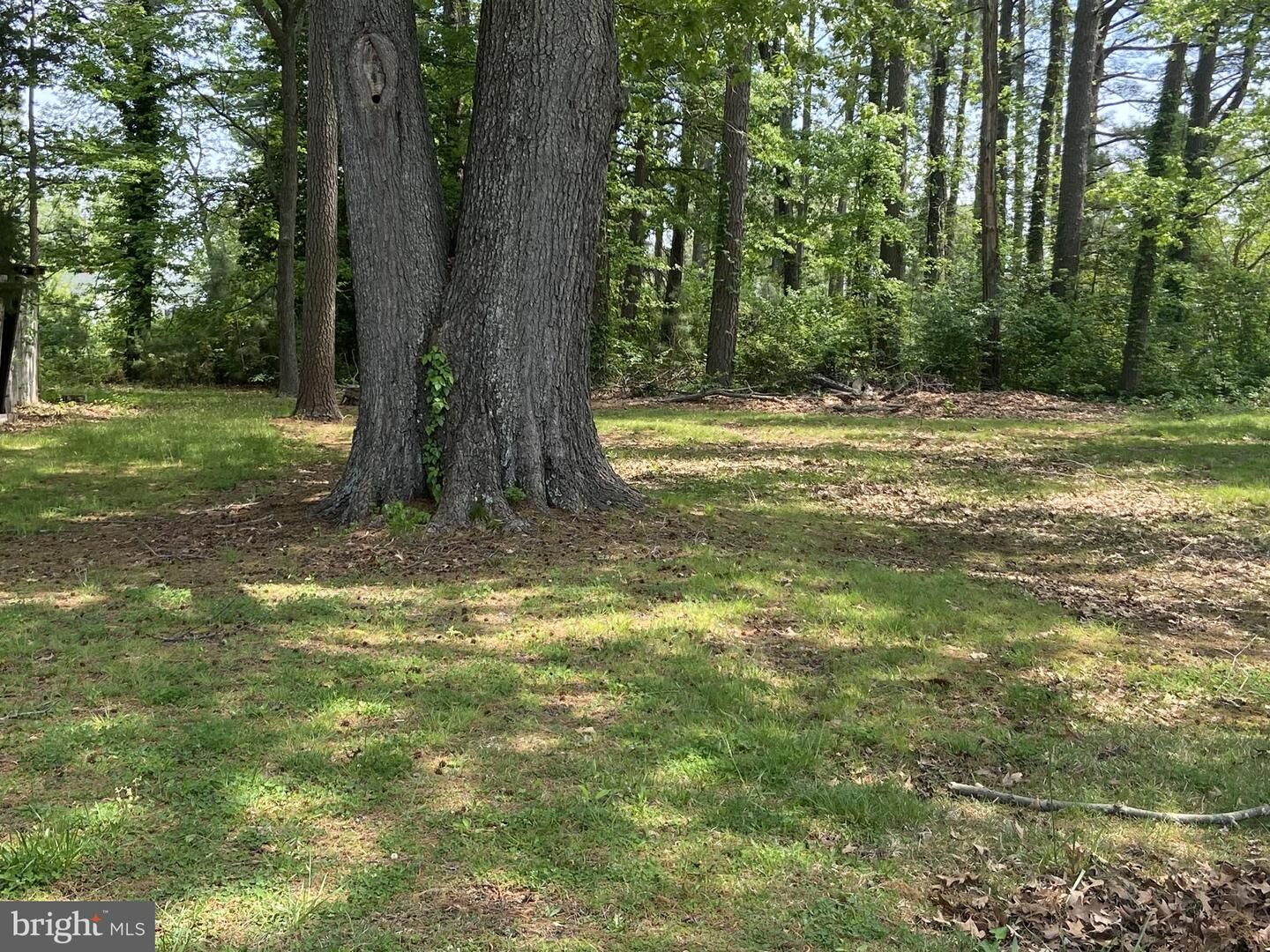 Property Photo:  