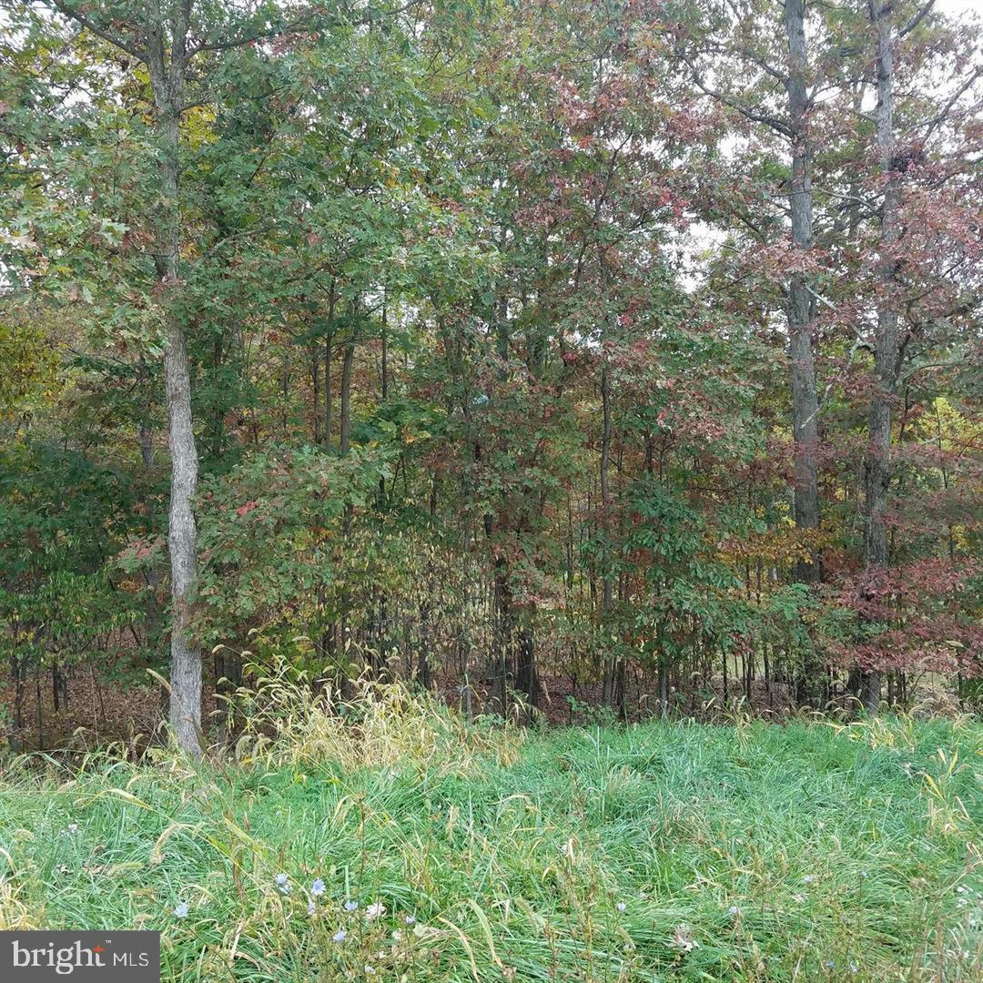 Property Photo:  13902 Rolling Oak Drive  MD 21529 
