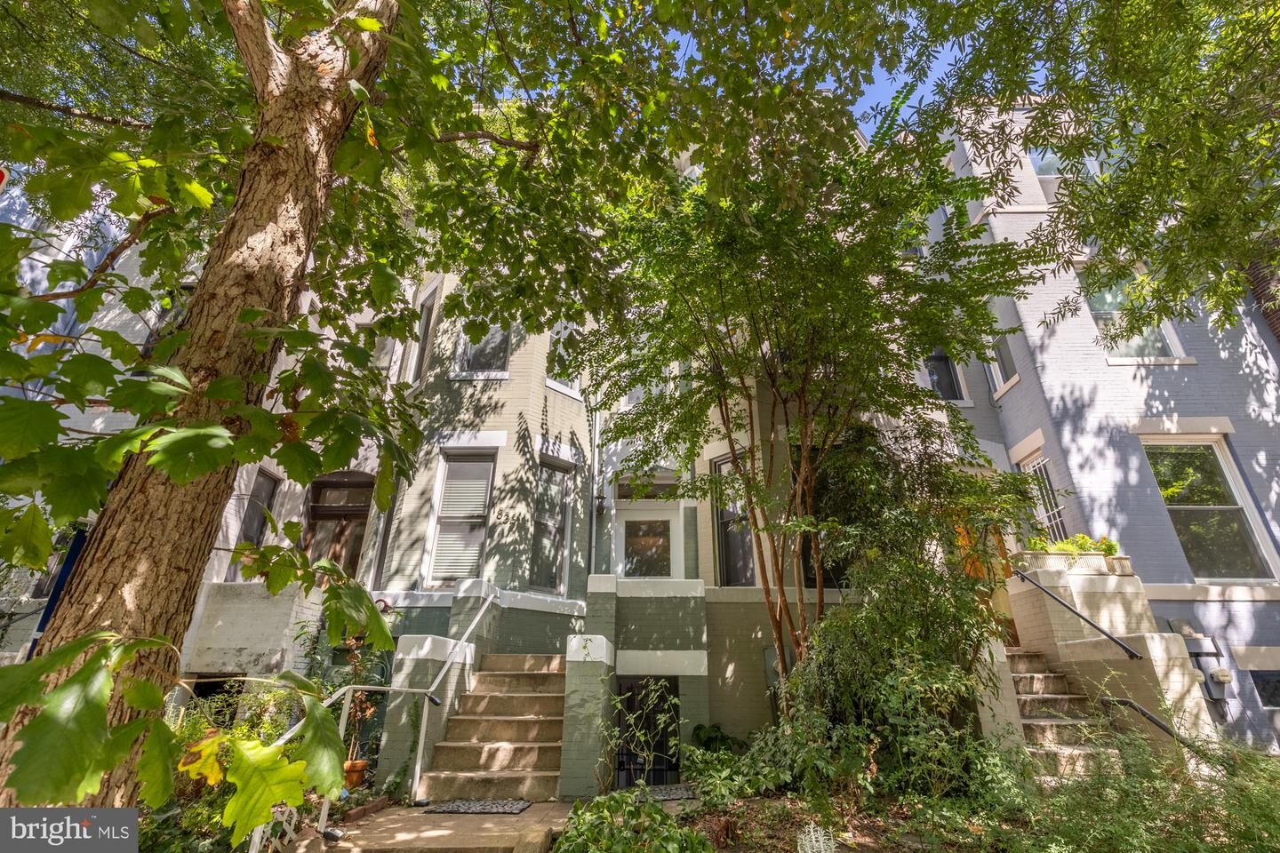 Property Photo:  1835 Mintwood Place NW  DC 20009 