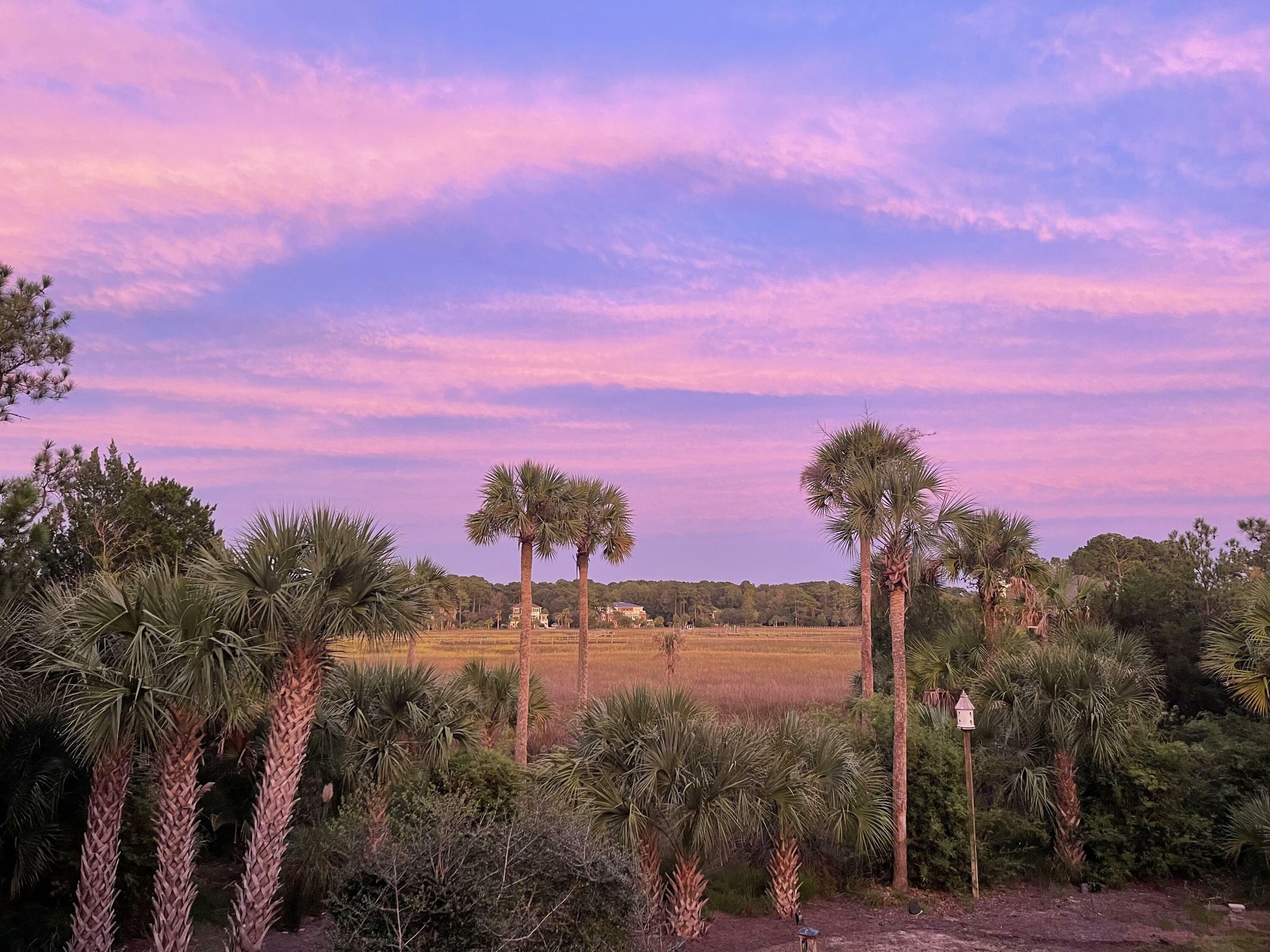 Property Photo: 2444 Darts Cove Way SC 29466