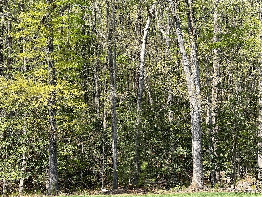 Property Photo: 9019 Sir Britton Drive VA 23832