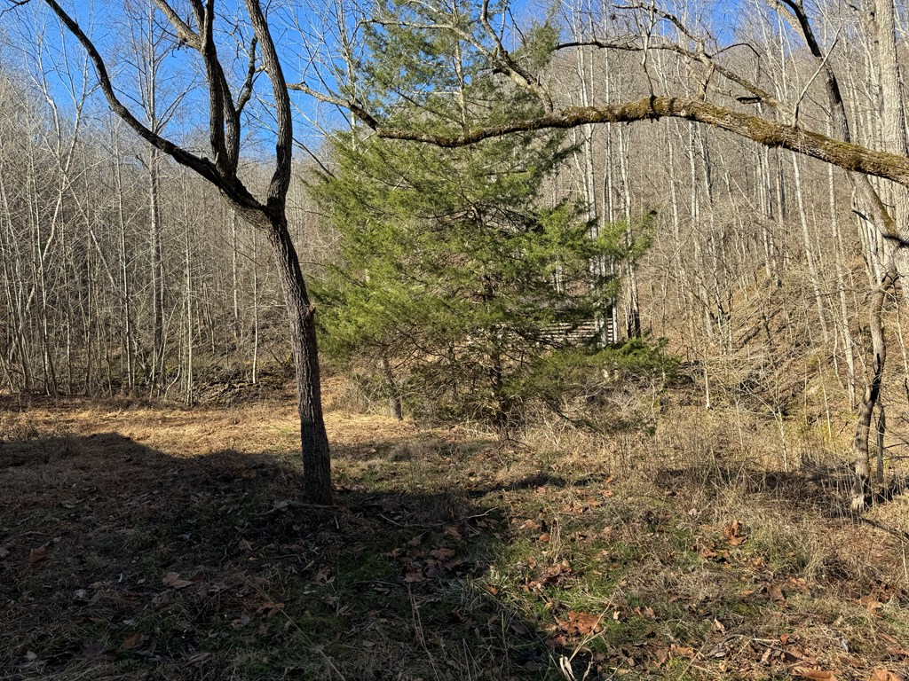 Property Photo:  1438 Mill Creek Road  KY 41666 