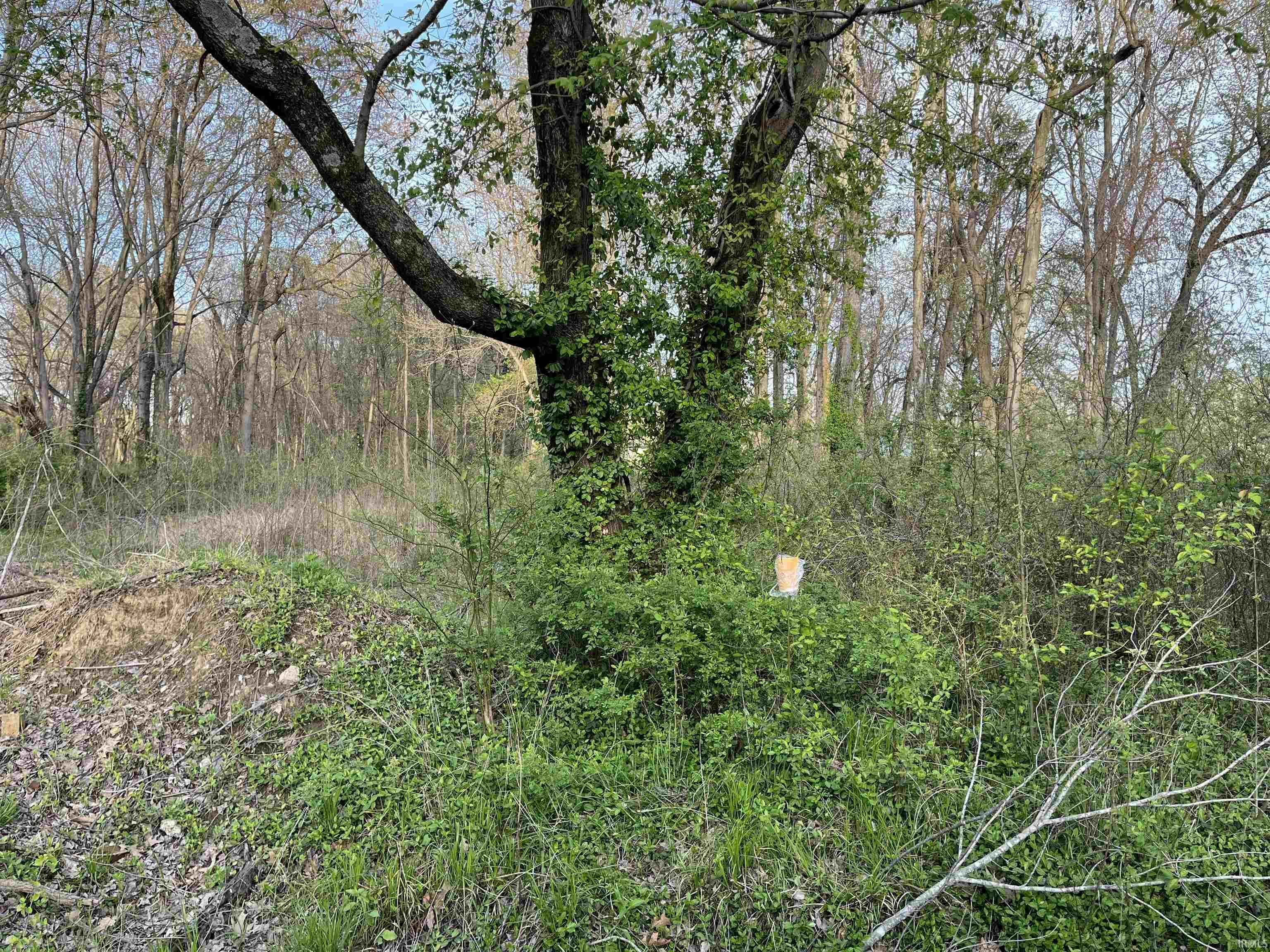 Property Photo:  1752 Burdette Avenue  IN 47714 