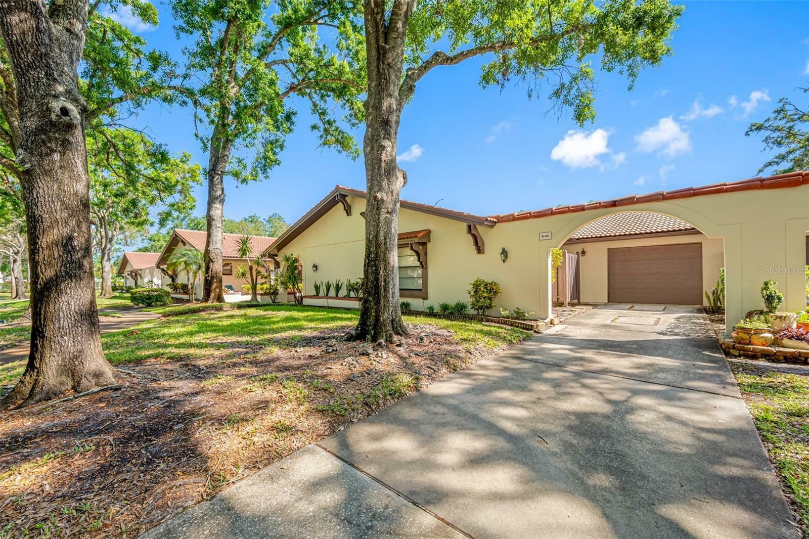 Property Photo: 3505 Tarpon Woods Boulevard E42 FL 34685