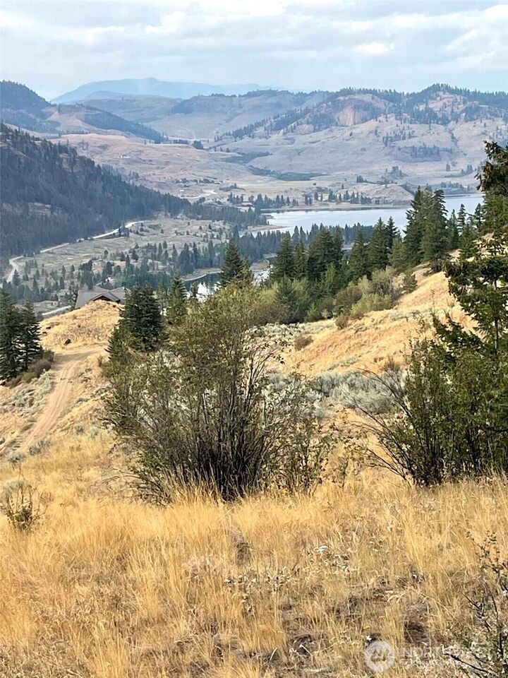 71  Desparado Road  Oroville WA 98844 photo