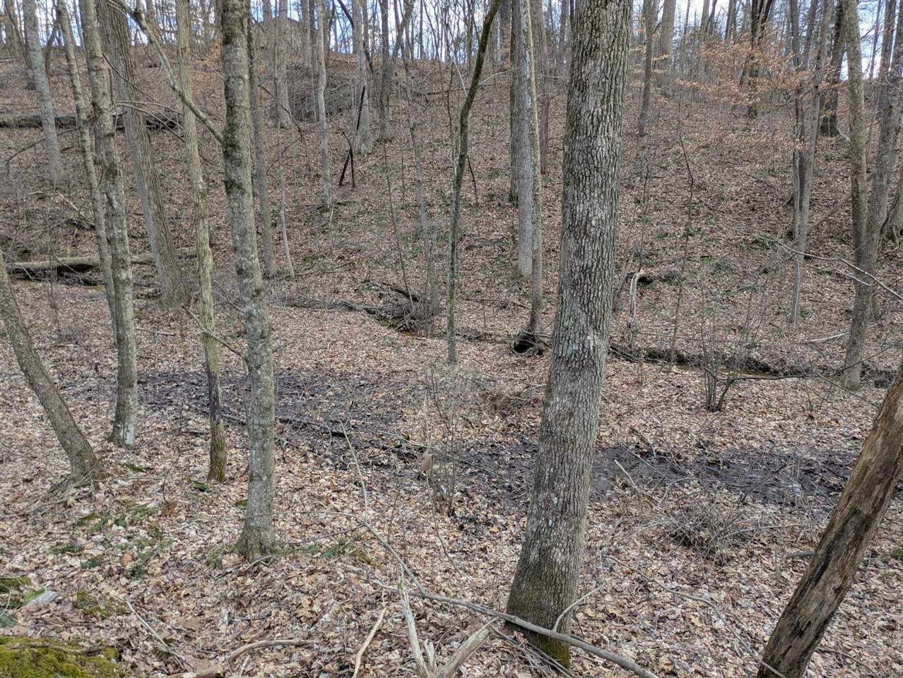 Property Photo: 637 Macon Kessinger Road KY 42765