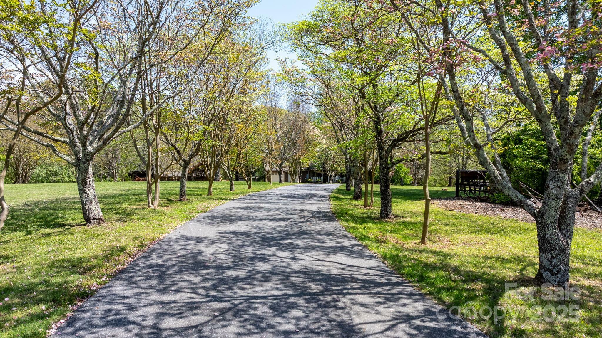 Property Photo: 4067 Old Buff Road NC 28602