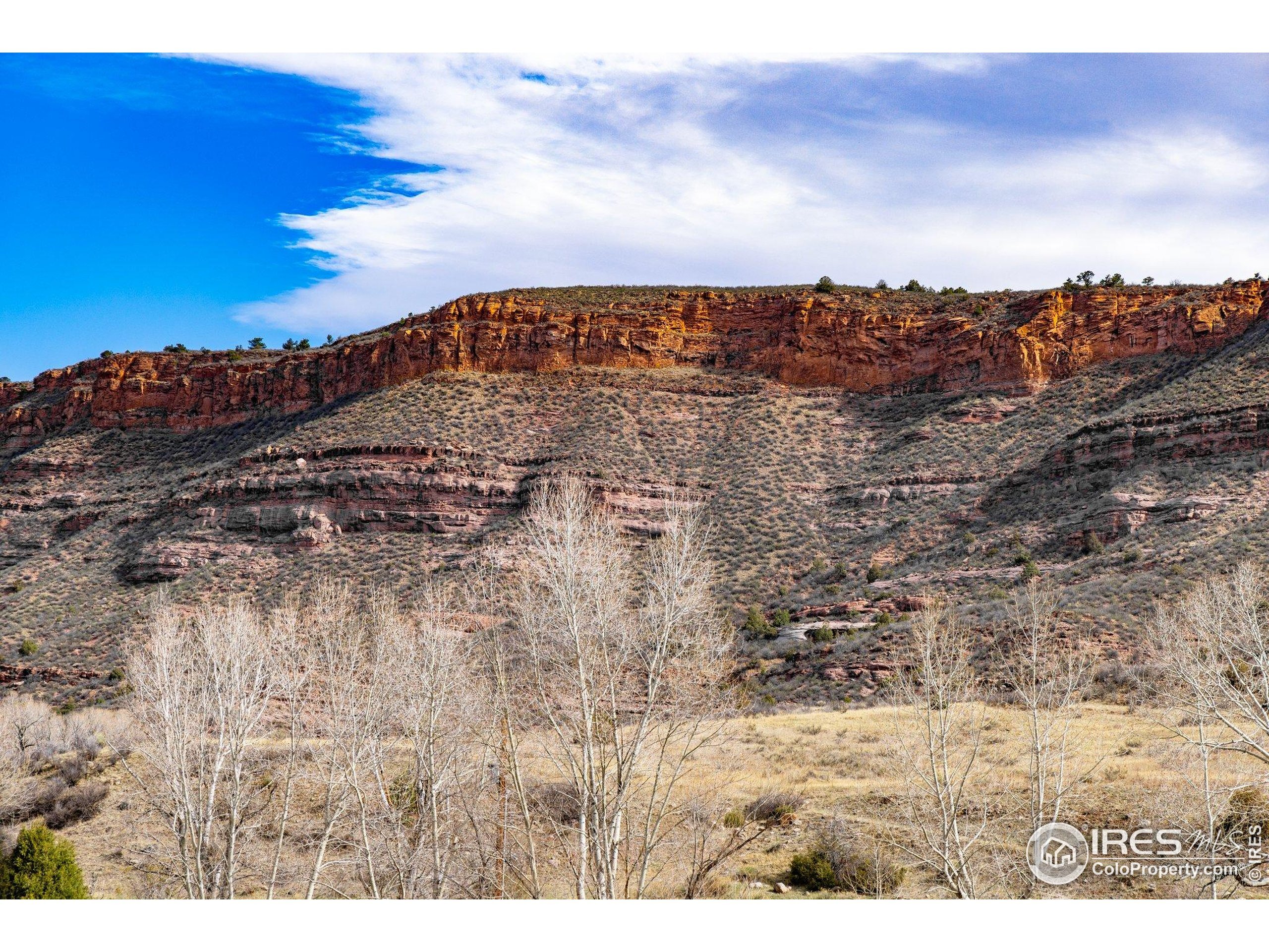 Property Photo: 9316 Tawny Lynx Rd CO 80538